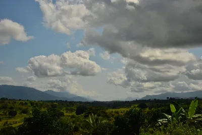 DSC_4386 (Large).JPG